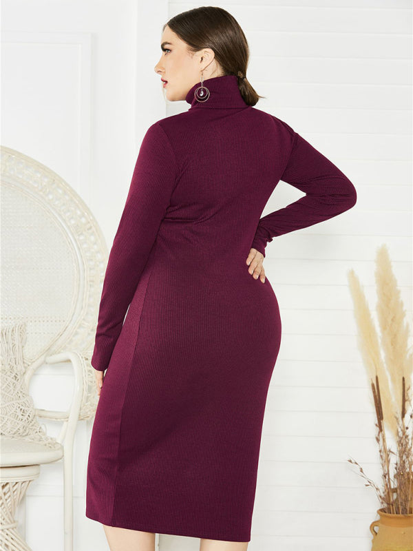 Women's Plus Size Solid Color Knit Turtleneck Long Sleeve Dress